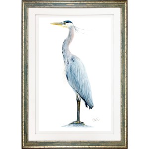 KS- BLUE HERON 4